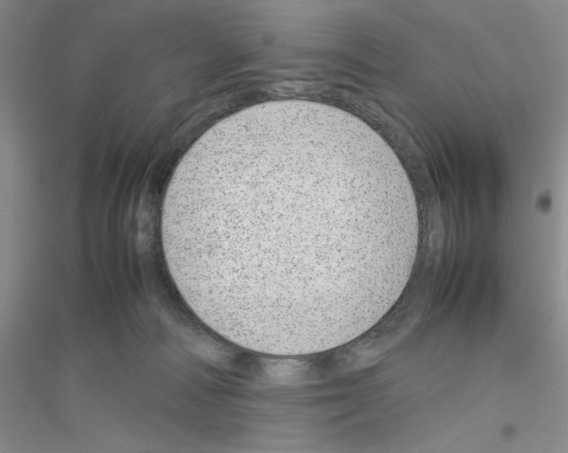 X0000116880226201002021155