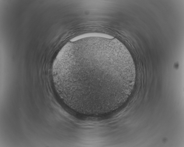 X0000116880227201002021155