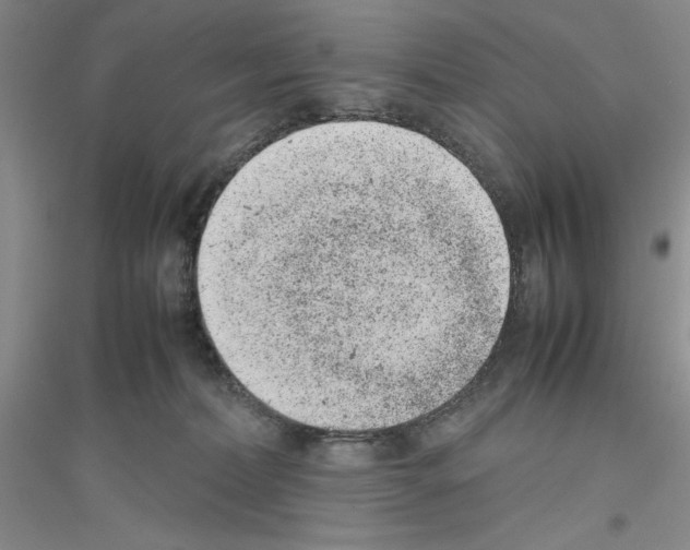 X0000116880228201002021155
