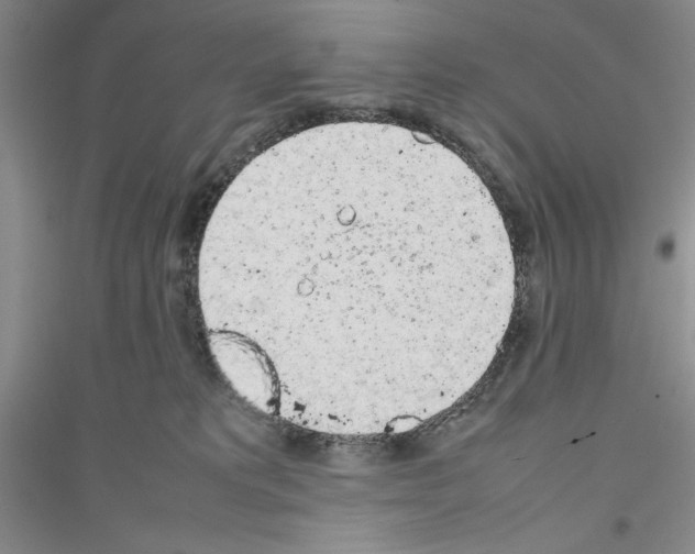 X0000116880229201002021155