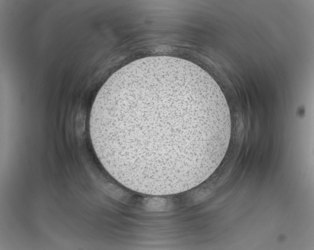 X0000116880230201002021155