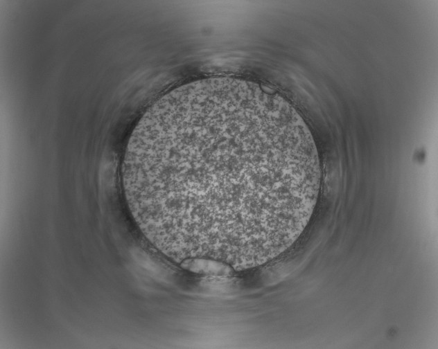 X0000116880231201002021155