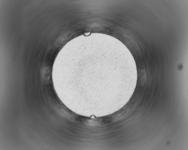 X0000116880232201002021155