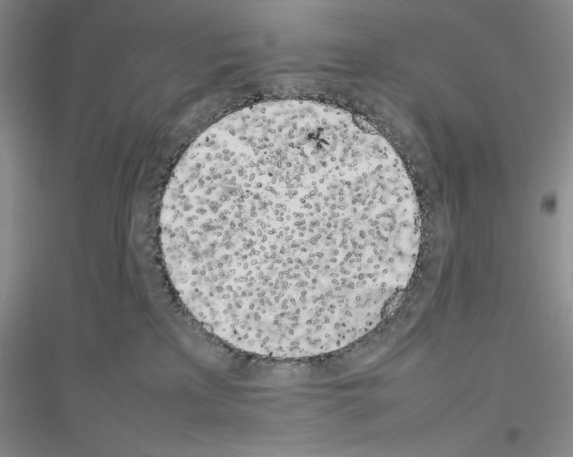 X0000116880233201002021155