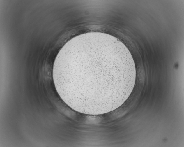 X0000116880234201002021155