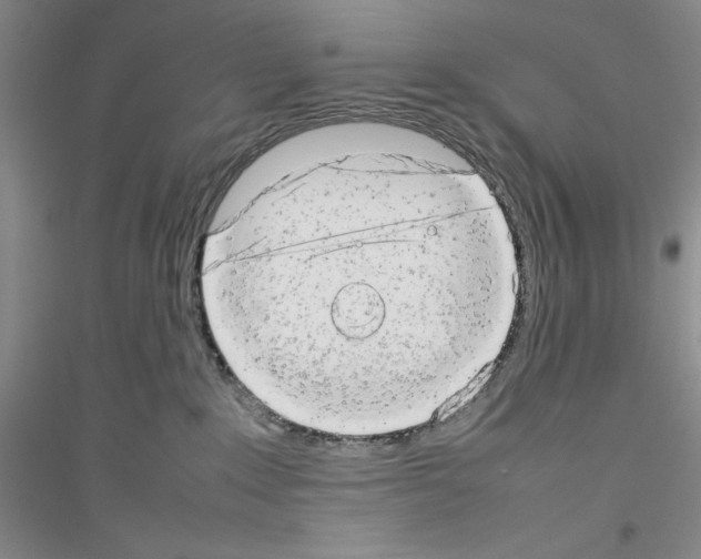 X0000116880235201002021155