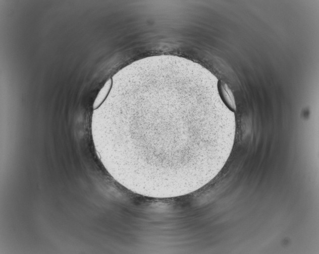 X0000116880236201002021155