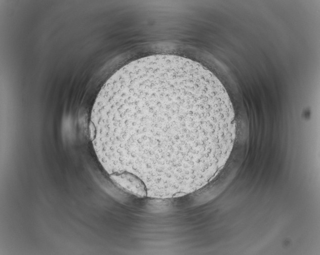X0000116880238201002021155