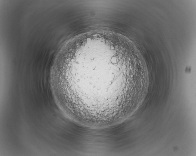 X0000116880240201002021155