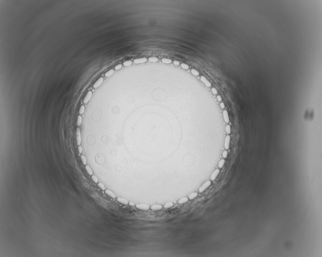 X0000116880241201002021154