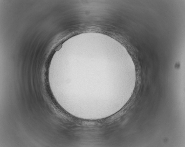X0000116880242201002021154