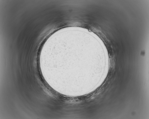 X0000116880243201002021154