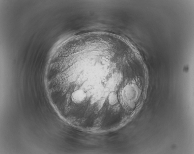X0000116880245201002021154