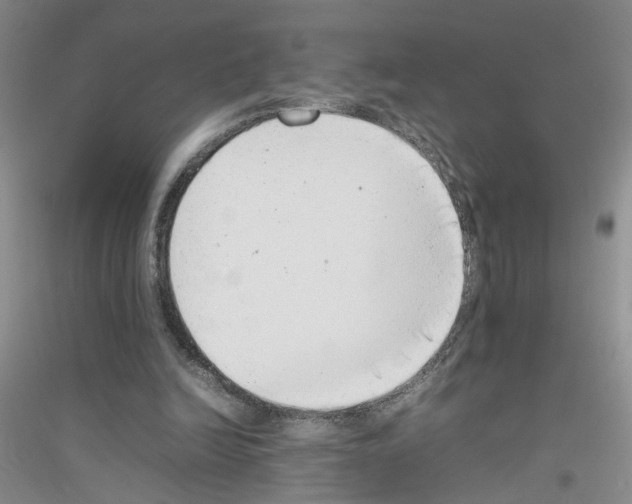 X0000116880246201002021154