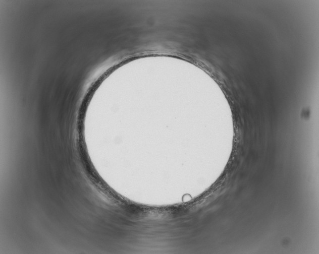 X0000116880248201002021154