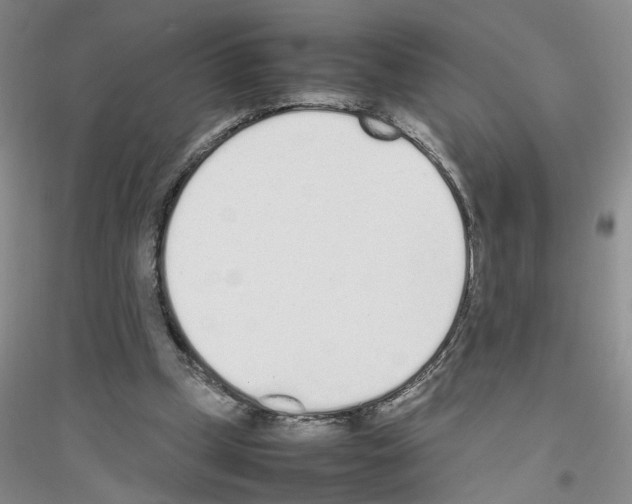 X0000116880249201002021154