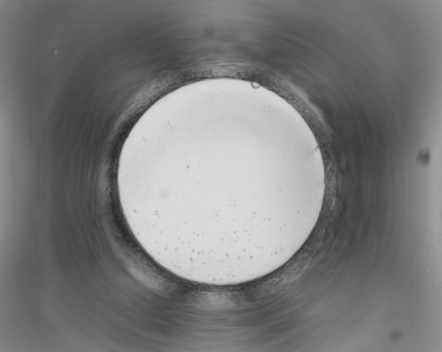 X0000116880250201002021154