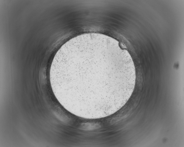 X0000116880251201002021154