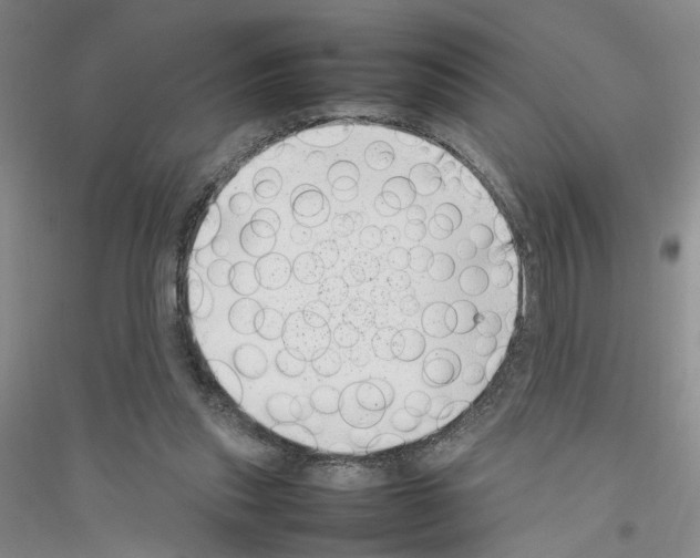 X0000116880253201002021154