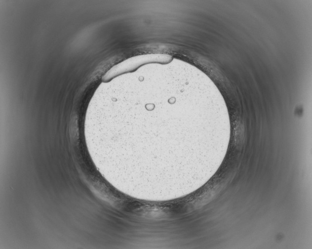 X0000116880254201002021154