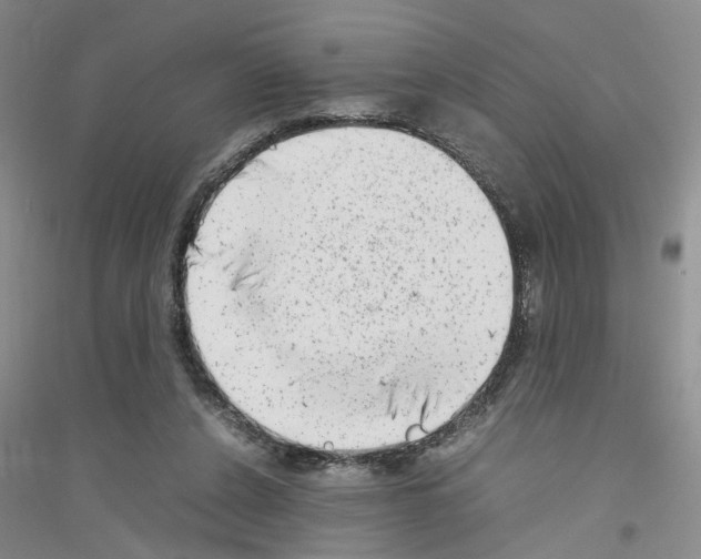 X0000116880256201002021154