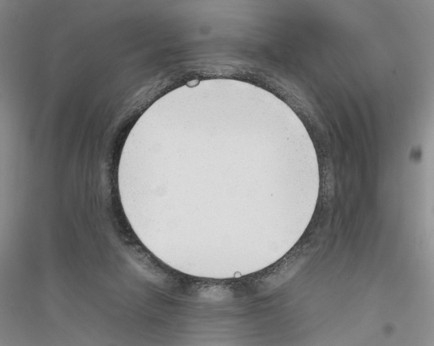 X0000116880258201002021154