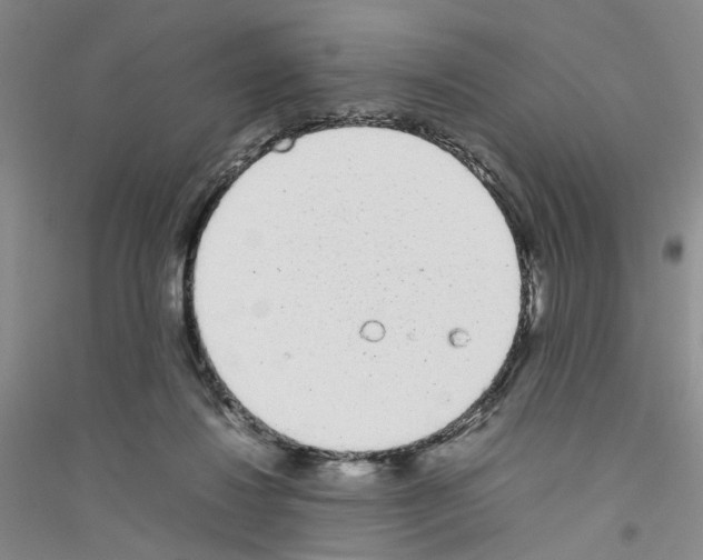 X0000116880260201002021154