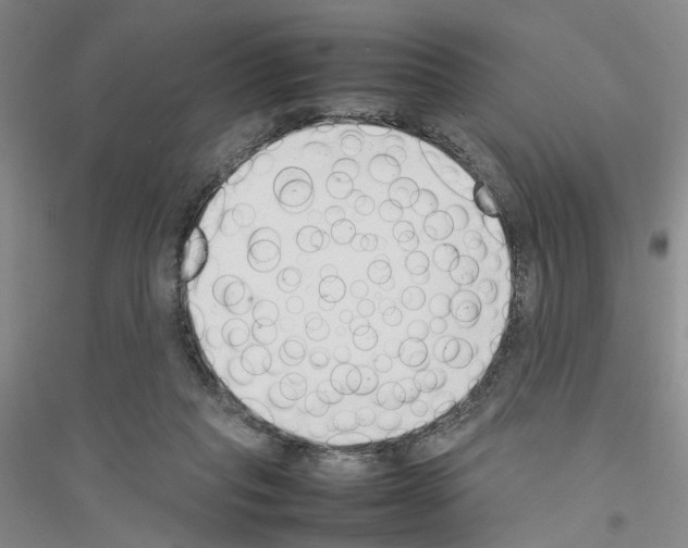 X0000116880261201002021154