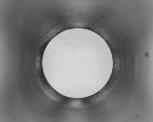 X0000116880262201002021154