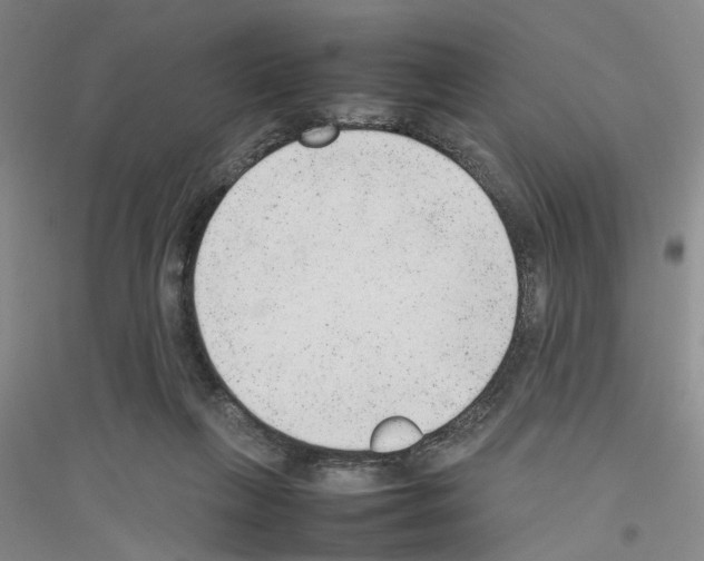 X0000116880263201002021154