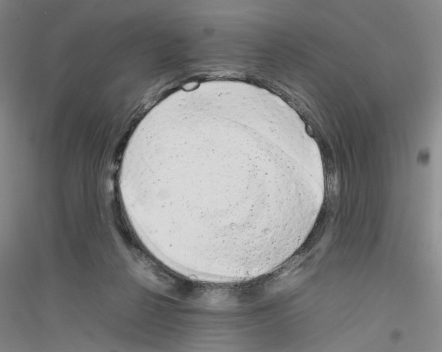 X0000116880264201002021154
