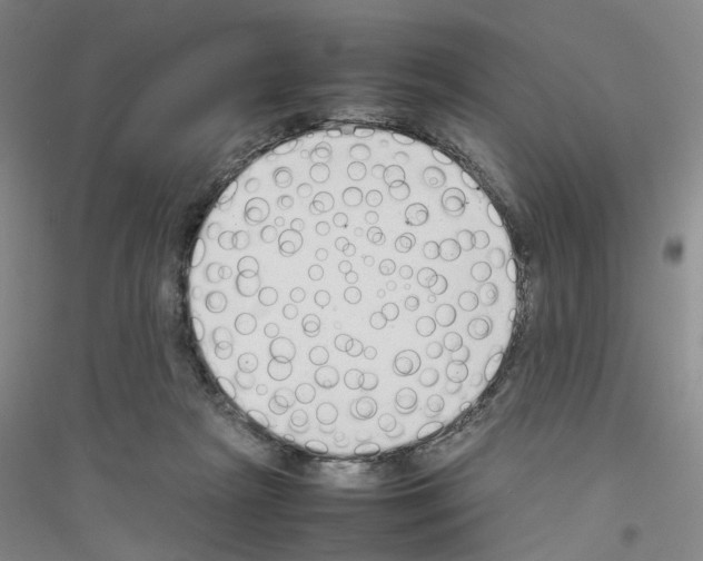 X0000116880265201002021154
