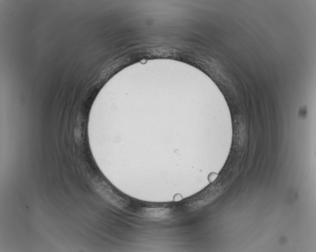 X0000116880266201002021154
