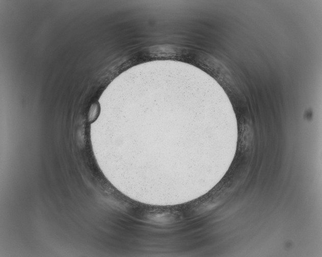 X0000116880267201002021154