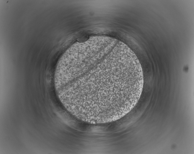 X0000116880268201002021154