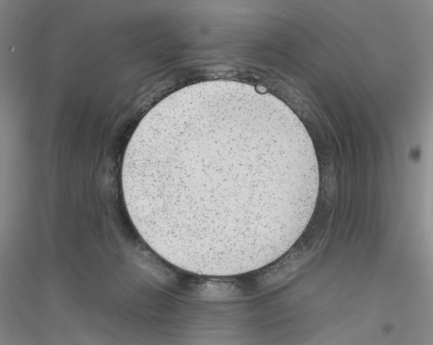 X0000116880270201002021154