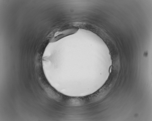 X0000116880272201002021154