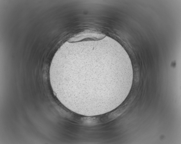 X0000116880273201002021154