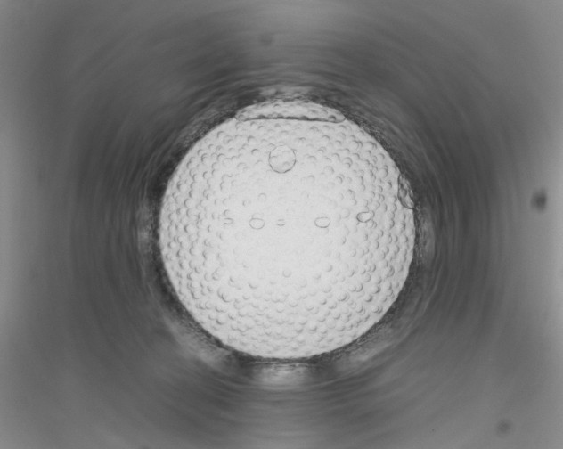 X0000116880274201002021154