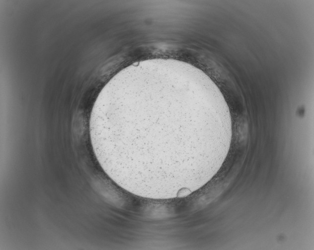 X0000116880276201002021154