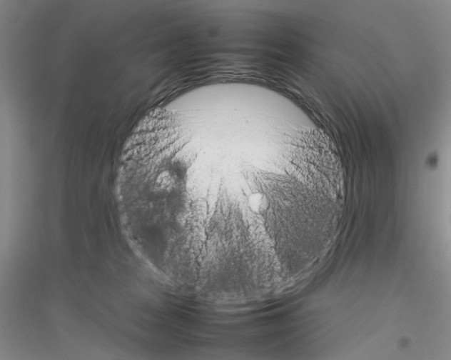 X0000116880277201002021154