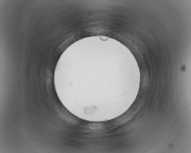 X0000116880279201002021154