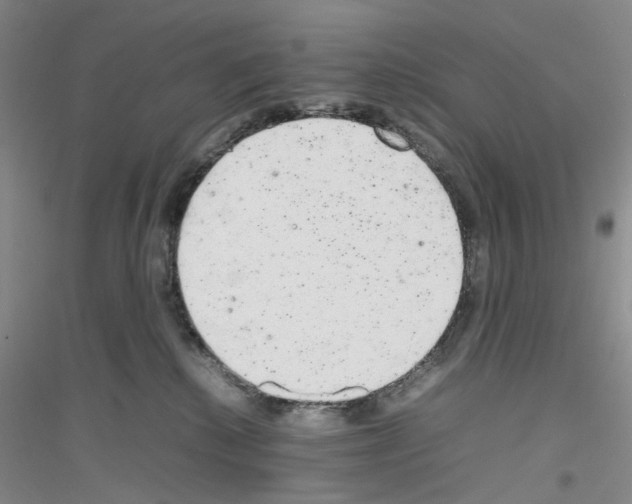 X0000116880280201002021154