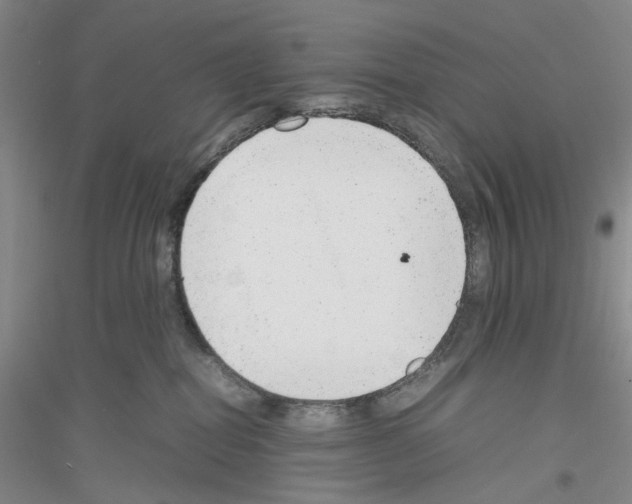 X0000116880282201002021154