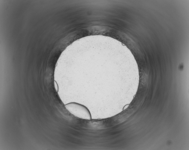 X0000116880283201002021154