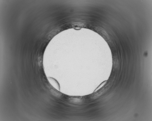 X0000116880285201002021154