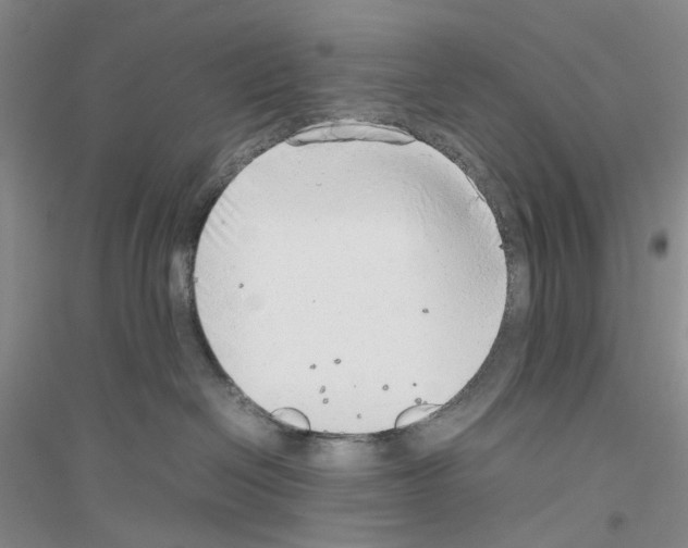 X0000116880286201002021154