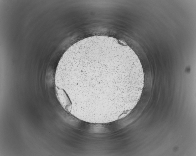 X0000116880287201002021154