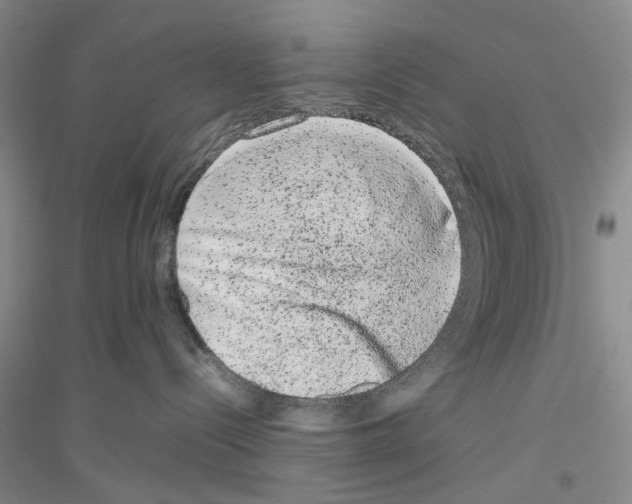 X0000116880288201002021155