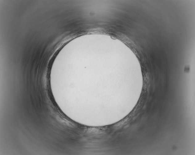 X0000116880290201002021154